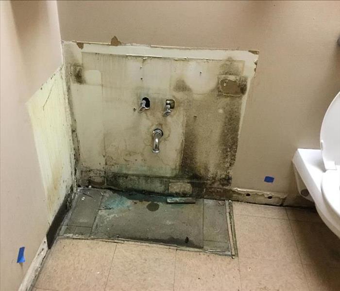 White wall in a bathroom with mold with water pipes and a white toilet.