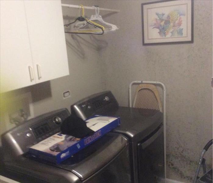 Gray washing machine and dryer in a laundry room with mold spots on the wall and ceiling.