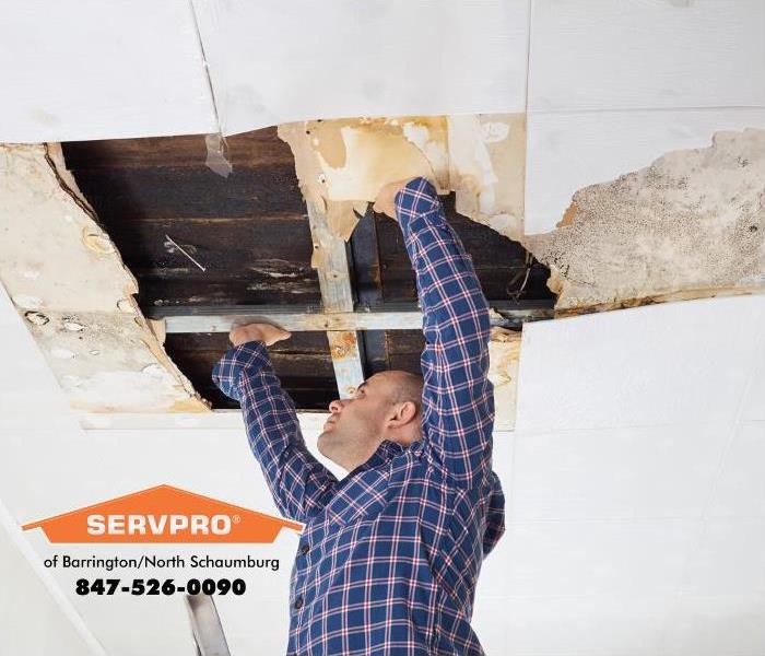 A man has torn away water-damaged ceiling tiles and is inspecting the damage to his office caused by a ceiling leak from the 